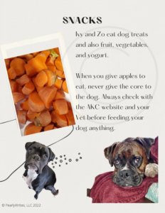 Ivy and Zo snacks