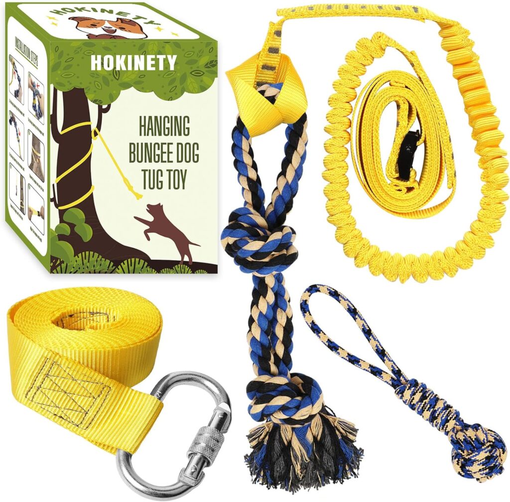 bungee toy