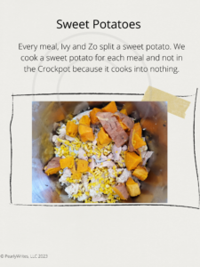 Sweet potato in dog bowl