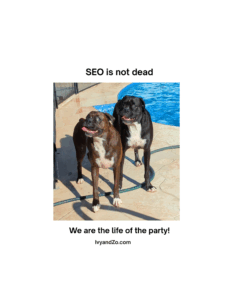 SEO is not dead