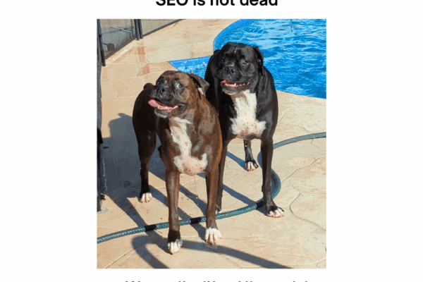 SEO is not dead