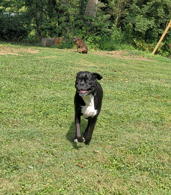 Zo Running